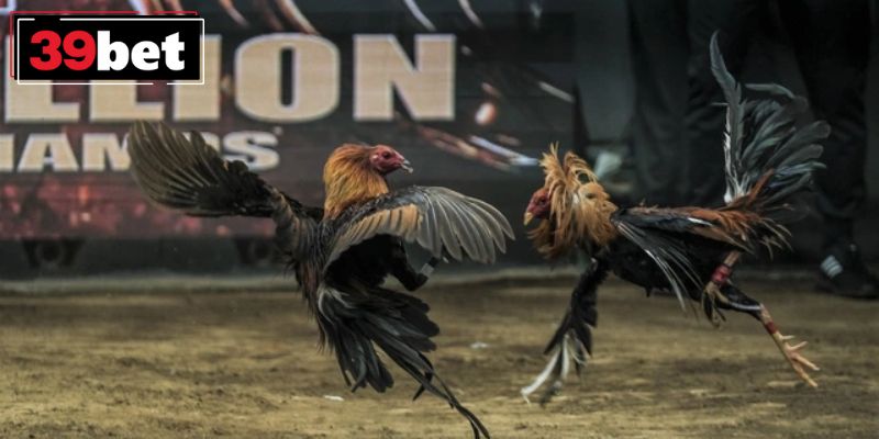 Quản lý vốn chặt chẽ để đạt hiệu quả tốt nhất