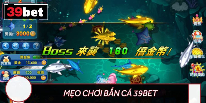 Rinh ngay thưởng lớn nhờ mẹo săn cá đỉnh cao